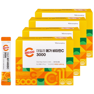 광동 비타500 데일리 메가 비타민C 3000 고함량 비타민c, 270g, 4개