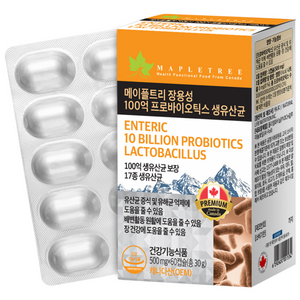 메이플트리 장용성 100억 프로바이오틱스 생유산균, 60정, 1개