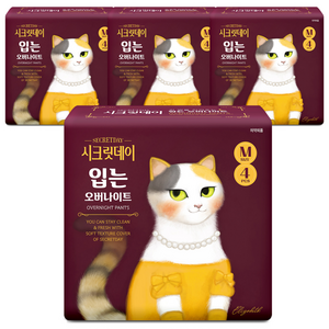 시크릿데이 입는 오버나이트 팬티형, 중형, 4개입, 4개