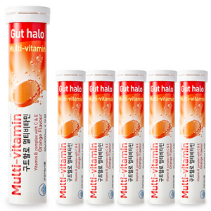 구트할로 멀티비타민 오렌지맛, 20정, 6개