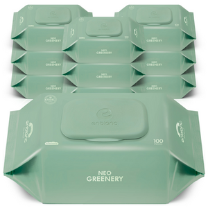 앙블랑 유아용 네오 그리너리 물티슈 캡형, 50g, 10개, 100매