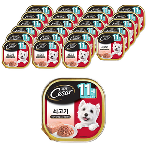 시저 11세 이상 시니어 강아지 주식캔