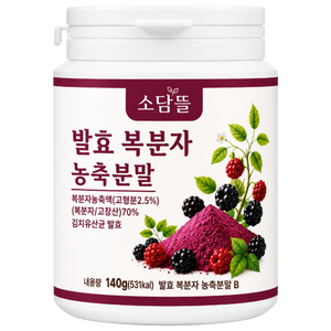 소담뜰 고창 복분자 분말 가루 국내산 발효복분자, 140g, 1개