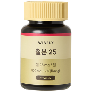 와이즐리 철분 25 (2개월분), 60정, 1세트