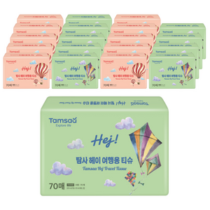 탐사 헤이 여행용티슈 2겹 70매, 70매, 20개