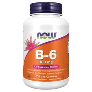 나우푸드 B-6 100mg 캡슐, 250정, 1개