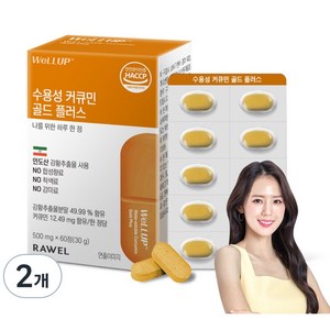 로엘 웰업 수용성 커큐민 골드 플러스 60p, 30g, 2개