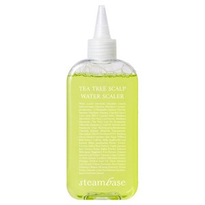 STEAMBASE 티트리 스칼프 워터 스케일러 250ml, 250ml, 1개