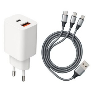 차지앤고 20W 2포트 PD PPS 고속충전기 + C타입 2개 8핀 1개 케이블 포함 1세트