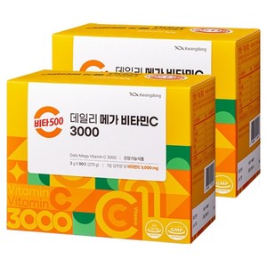 광동 비타500 데일리 메가 비타민C 3000 고함량 비타민c, 270g, 2개