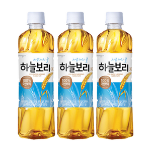 하늘보리, 500ml, 40개