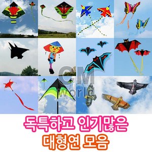 씨엠월드 유니크한 인기만점 대형연 모음 선택(낙하산 천 재질), 03_2.비행기연 파랑