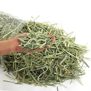 에밀리펫 슈퍼 프리미엄 손질완료 컷팅 티모시건초1kg 토끼건초 토끼사료, 1kg, 1개