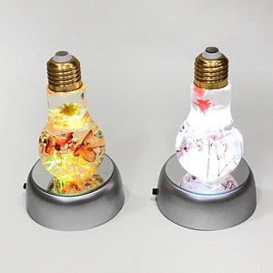 D&Fcompany 하바리움 무드등, 변색등