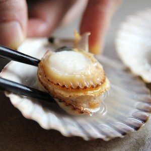 맛군 국내산 신선하고 알이 큰 통영 홍가리비, 1박스, 3kg