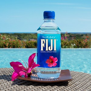 피지워터 생수, 500ml, 24개