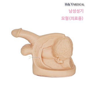 추천6 실리콘파우더 자위기