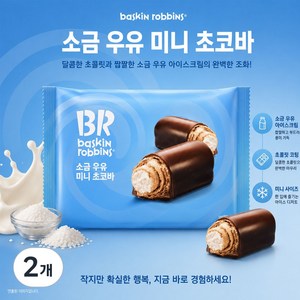 배스킨라빈스 소금 우유 미니 초코바, 405g, 2개