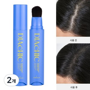 이가자헤어비스 디아쉬끄 샴푸잉 커버 틴트 두피타투 새치커버 헤어틴트, 다크브라운, 2개