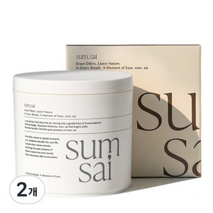 숨사이 편백 실내 탈취제, 300g, 2개