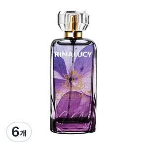 리나루시 퍼퓸 고농축 프리미엄 지앤미 향수, 6개, 100ml