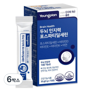영진약품 두뇌 인지력 포스파티딜세린 분말 식약청인증, 30g, 6박스