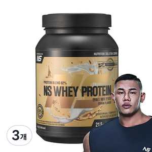 NS 웨이 프로틴 곡물맛 헬스보충제 단백질보충제, 450g, 3개