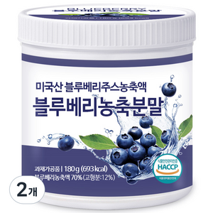 푸른들판 블루베리 농축 분말 가루 파우더 불루베리 열매 과일 파우더 무설탕, 180g, 2개