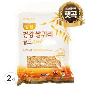 농협 [25년산 햇곡] 대한민국 쌀귀리 특구 강진산 귀리 골드, 1kg, 2개