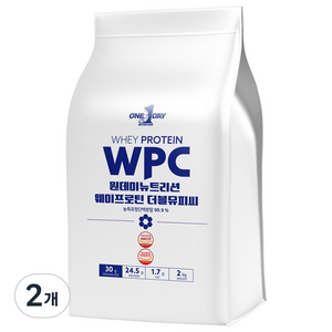 원데이뉴트리션 무맛_단백질 쉐이크 헬스 보충제 포대유청 웨이프로틴 WPC, 2kg, 2개
