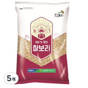 농협 [25년산 햇곡] 농협양곡 한토래 국산 찰보리쌀, 1kg, 5개