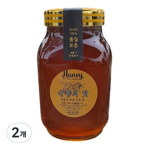산청의맛 지리산산청벌꿀 국내산100% 명품 벌꿀 야생화꿀 무설탕꿀 무설탕 잡꿀 자연꿀 숙성꿀, 2.4kg, 2개