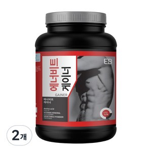 웨이테크 에너비트 게이너 WPC 복합형 벌크업 프로틴보충제, 4kg, 2개