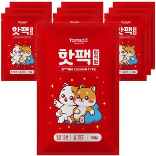 4. 탐사 방석형 핫..