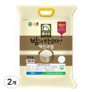 안동농협 2024년산 햅쌀 밥이 다르다 백진주쌀 백미, 상등급, 5kg, 2개