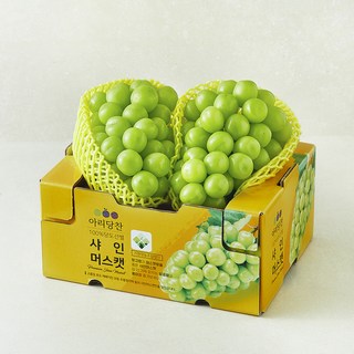 2. 아리당찬 100..