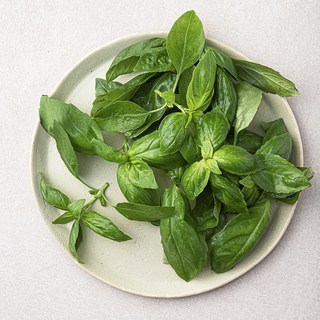 국내산 바질 40g 1개 상품 이미지