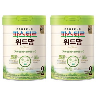 파스퇴르 위드맘 2단계, 750g, 2개