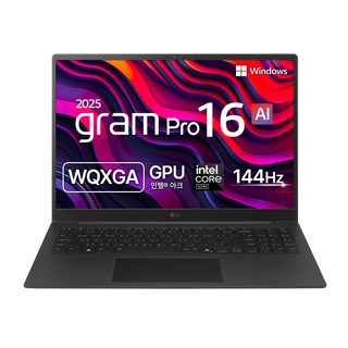 LG전자 2025 그램 Pro 16 코어Ultra5 루나레이크