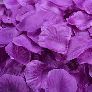 파티복닷컴 파티용 장미꽃잎, 퍼플, 1세트