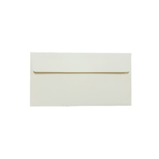 티켓형 카드 초대장 레이드지 용돈봉투 175 x 85mm, 연미색, 100개