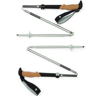 black diamond Pursuit FLZ Z型折疊竿, Black Foam Green, 1組