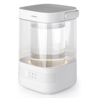 에어보나 가열식 가습기 4L, 화이트, AB-C100GH