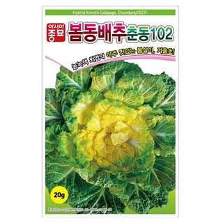 씨앗 봄동배추 춘동102 씨앗 20g, 1개