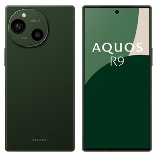 SHARP 夏普 AQUOS R9 5G 智慧手機 6.5吋, 森之綠, 256GB