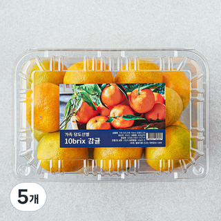 가족 당도선별 10brix 감귤, 800g(소과), 5개