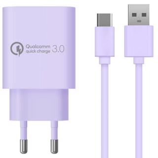홈플래닛 퀄컴 QC3.0 인증 고속 충전기 + 충전 케이블 C타입 1.2m 세트, 퍼플, 1개