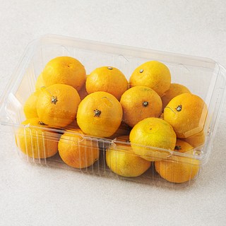 곰곰 당도선별 10brix 감귤, 1.2kg(꼬마과), 1개