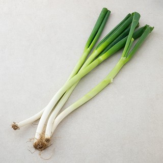 국내산 친환경 대파, 500g