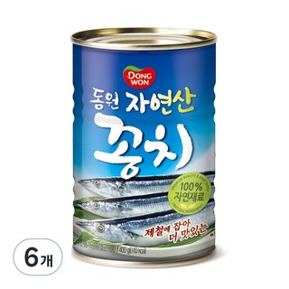 동원 자연산 꽁치 통조림, 400g, 6개